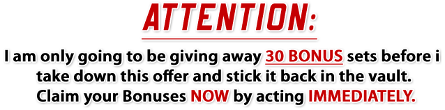 Info Prodigy Priceless Bonus Traffic Anarchy Awesome Bonus